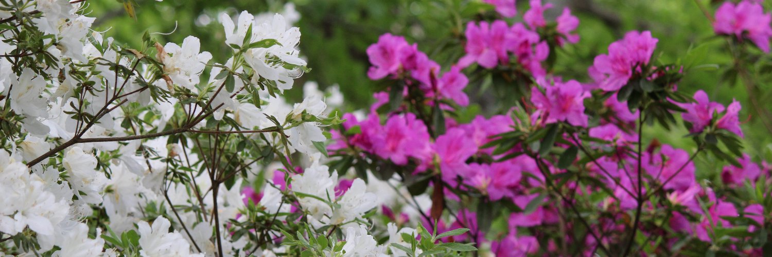 magic4768's profile banner image