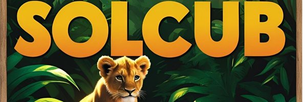 Sol_cub Profile Banner