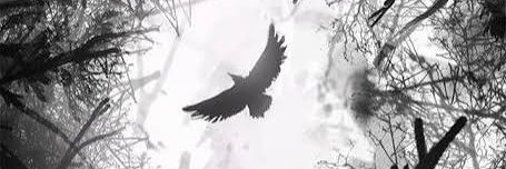 LightlessLilith's profile banner image
