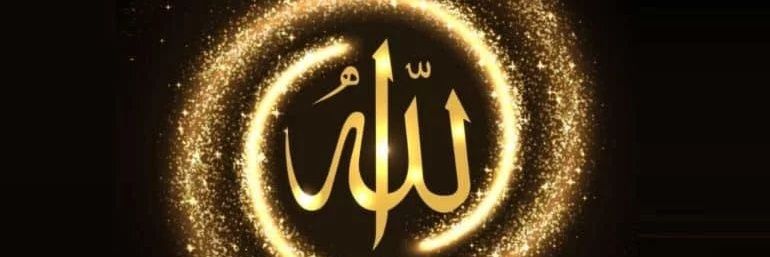 fatemeh.h.r's banner