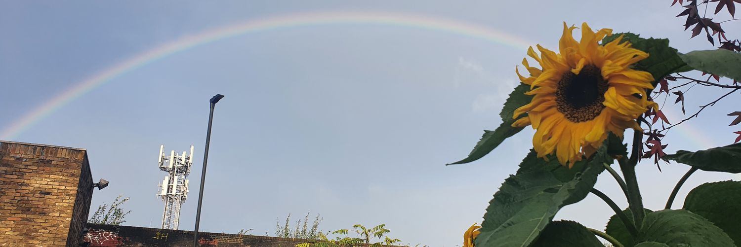 _lamb_shade's profile banner image