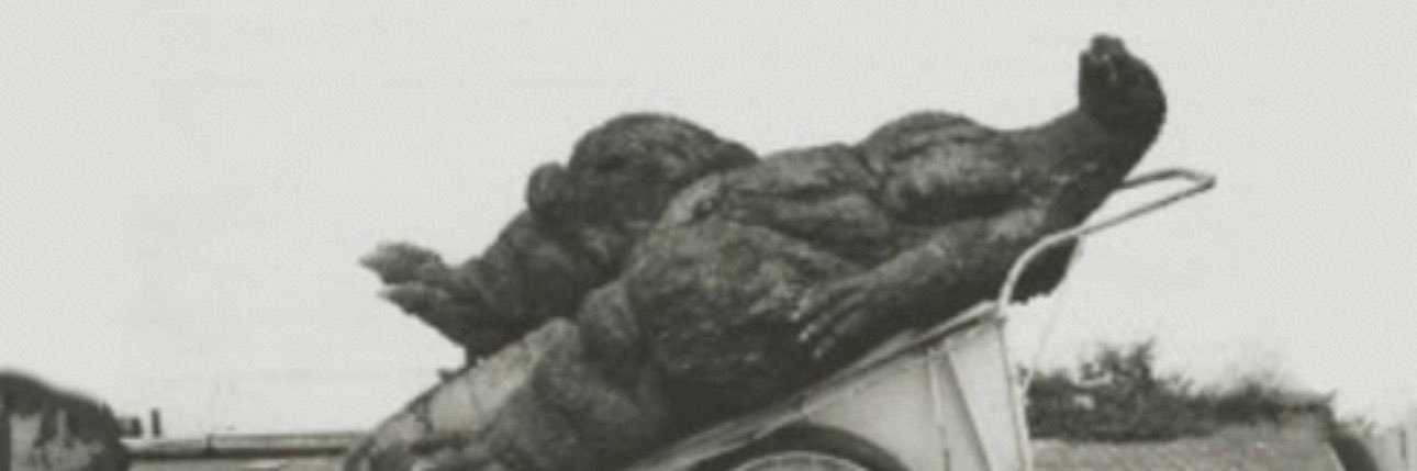 WetPitStain's profile banner image