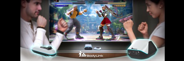 BodyLinkConsole Profile Banner