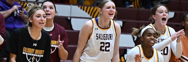 SalisburyWBB Profile Banner