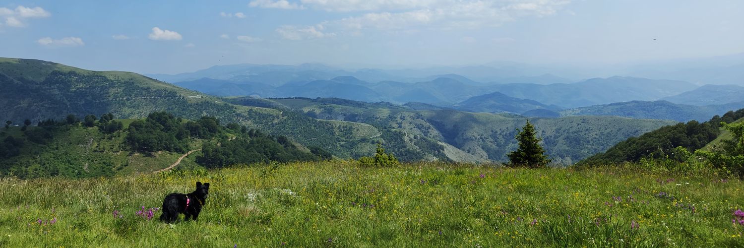 🗡️росомаха крендель banner