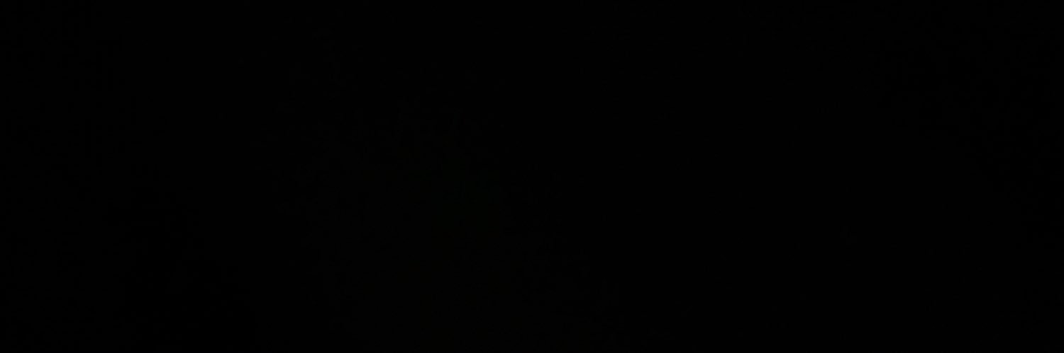 begüm's banner