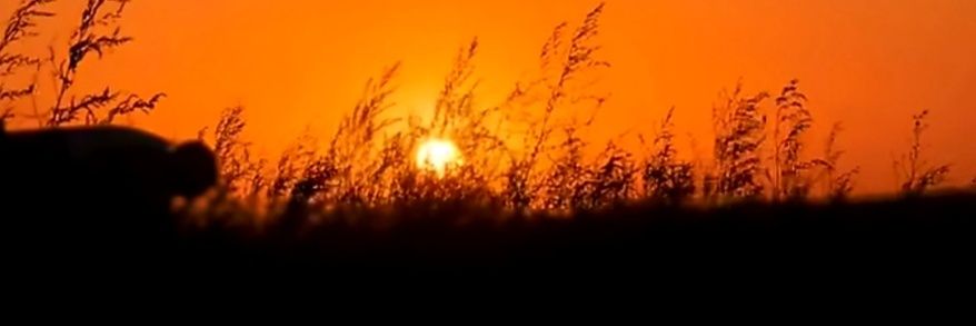 almadaj13's profile banner image