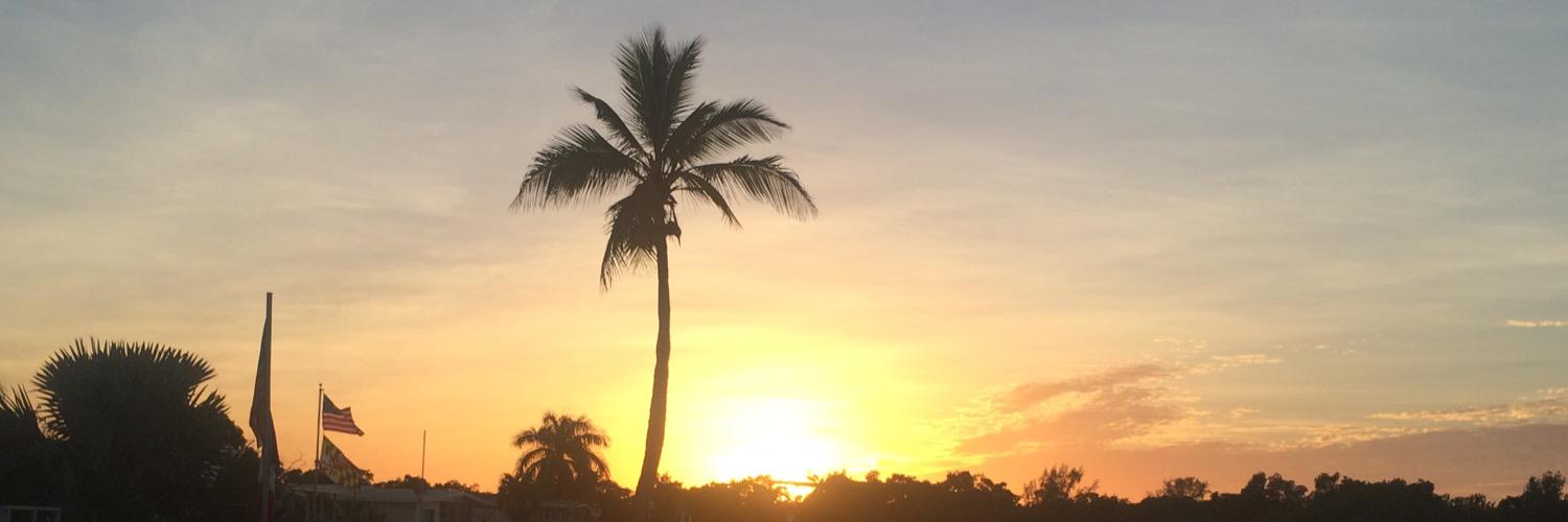 Ron Hatten, MS, USAW, FMS banner