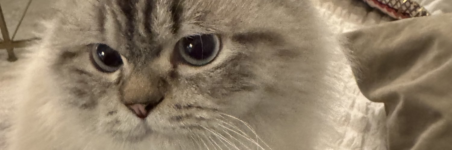 Reoufaa's profile banner image