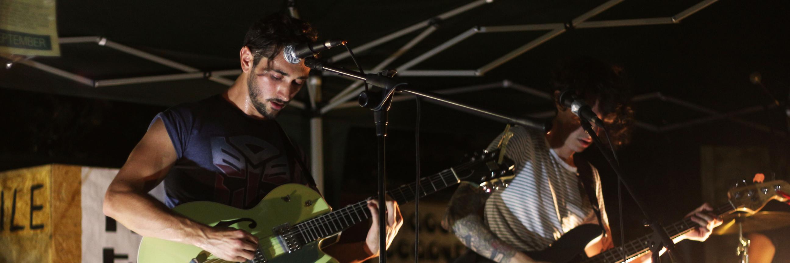 StranglerFigs's profile banner image