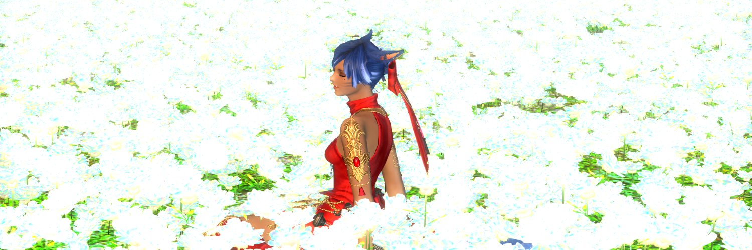 fehina's profile banner image
