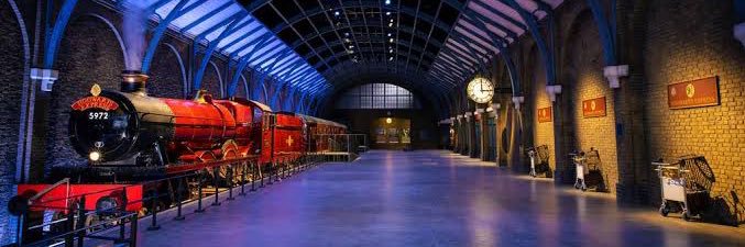 アライグマ@プロカ必読 banner