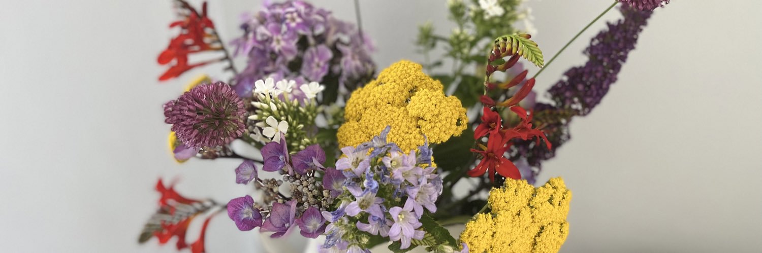 Shellie Jean Radford banner