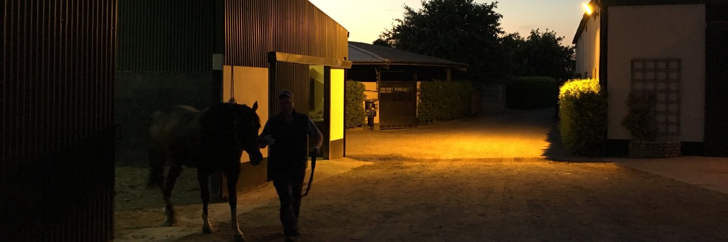 BallyhaneStud's profile banner image