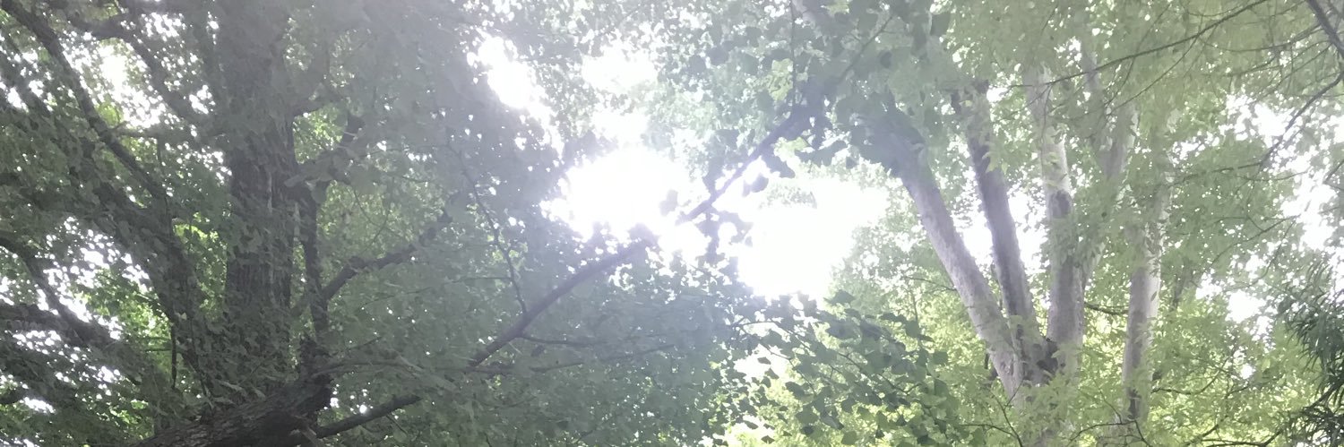 ice195's profile banner image