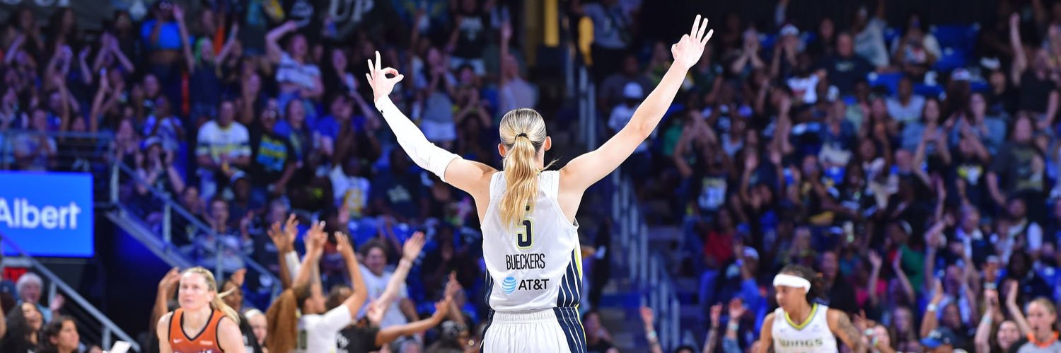 laney ☽｡⋆ banner