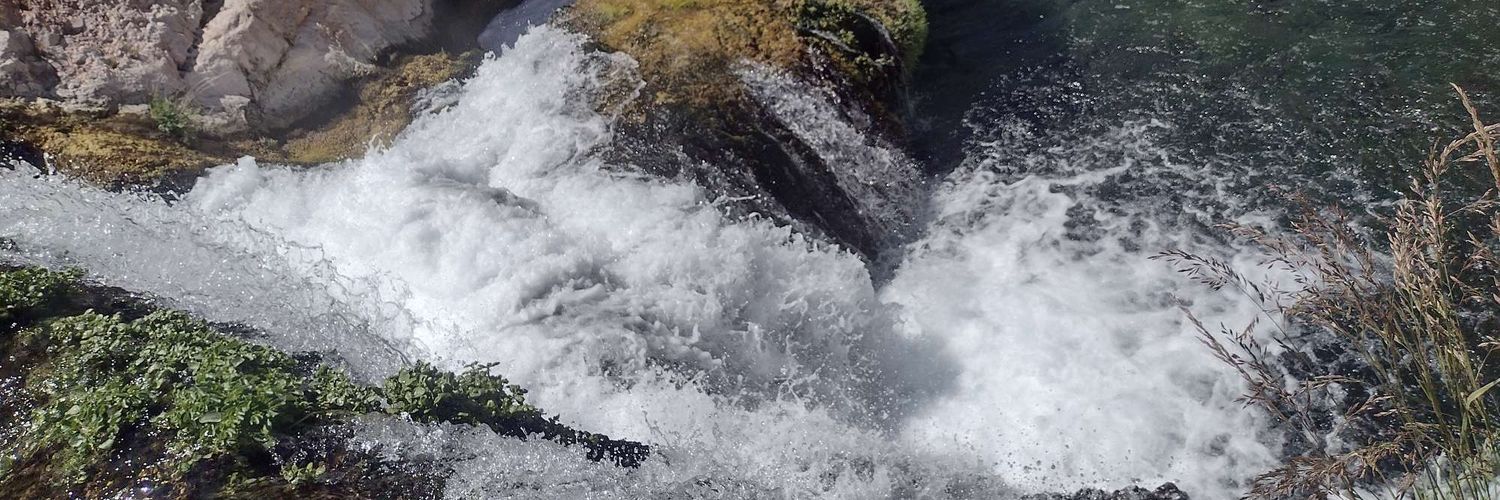 Adam Miscavage banner