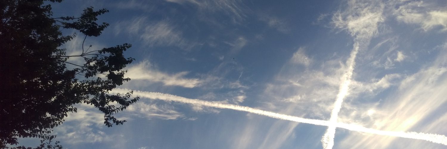 Mattfroghead's profile banner image