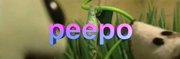 lessashamed's profile banner image