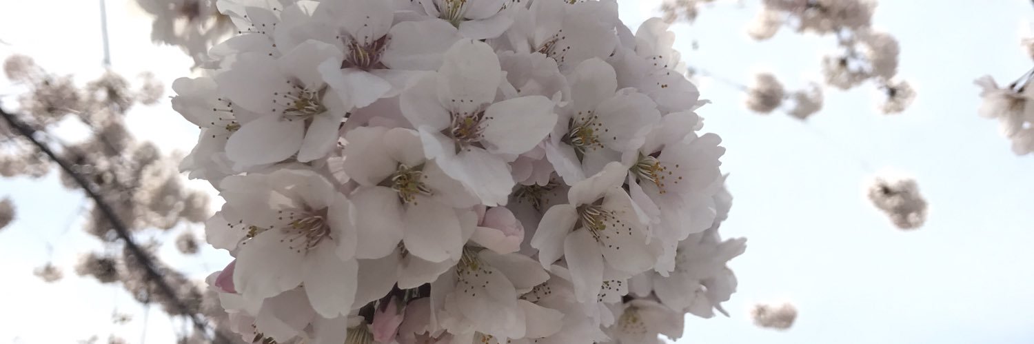 mihito814's profile banner image