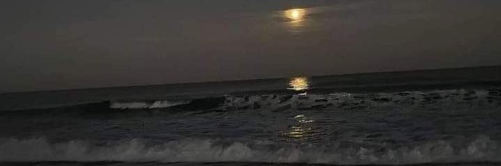 . banner