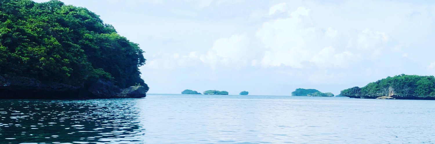 SMAKemp's profile banner image