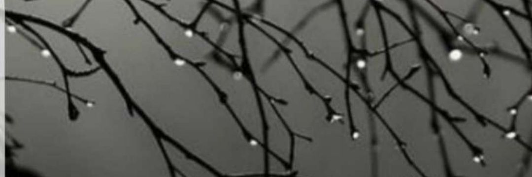 Aylol_71's profile banner image
