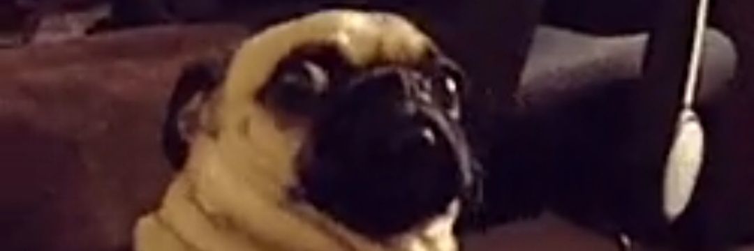 Norman S Tanley banner