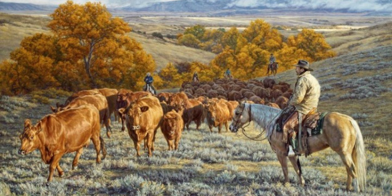 jeraldcallahan's profile banner image