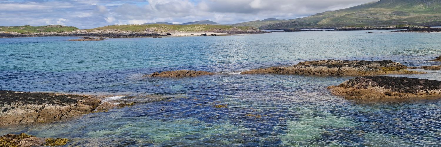 David Labanyi banner