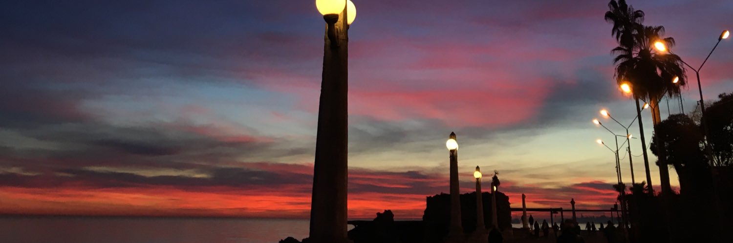 Rada_Joy's profile banner image
