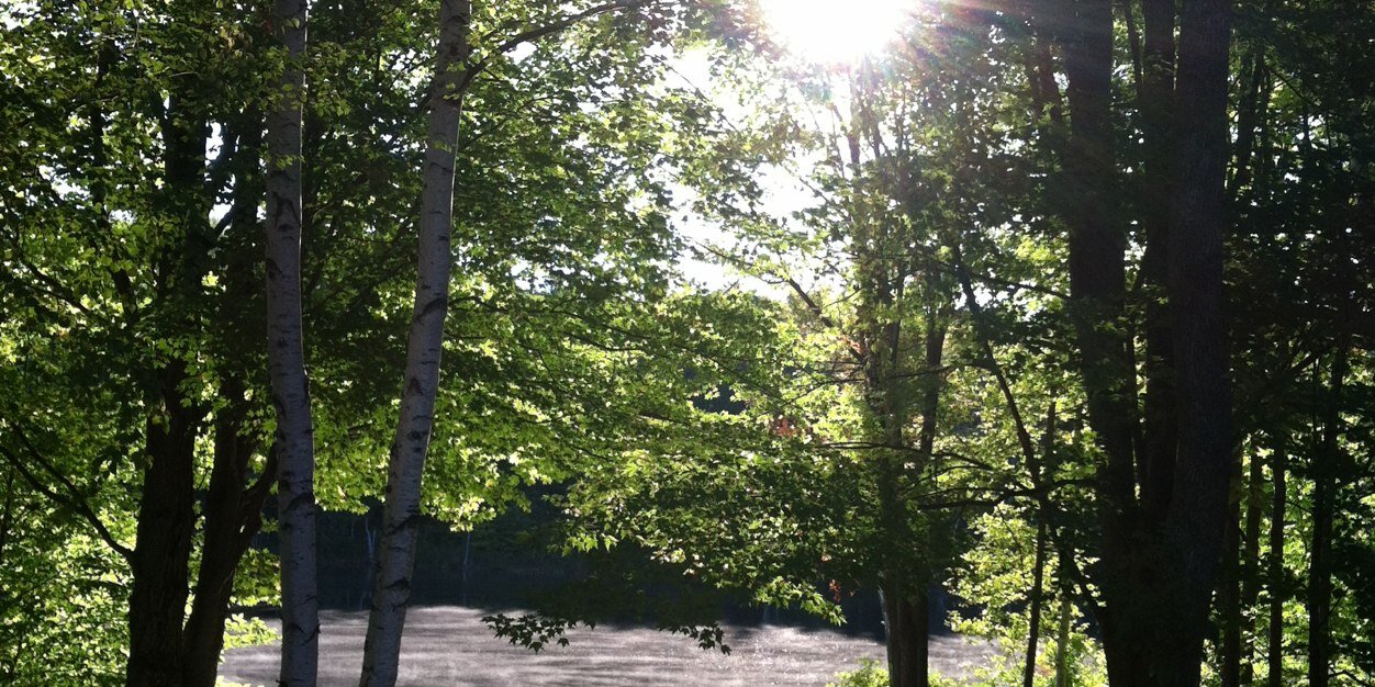 deb_broten_will's profile banner image