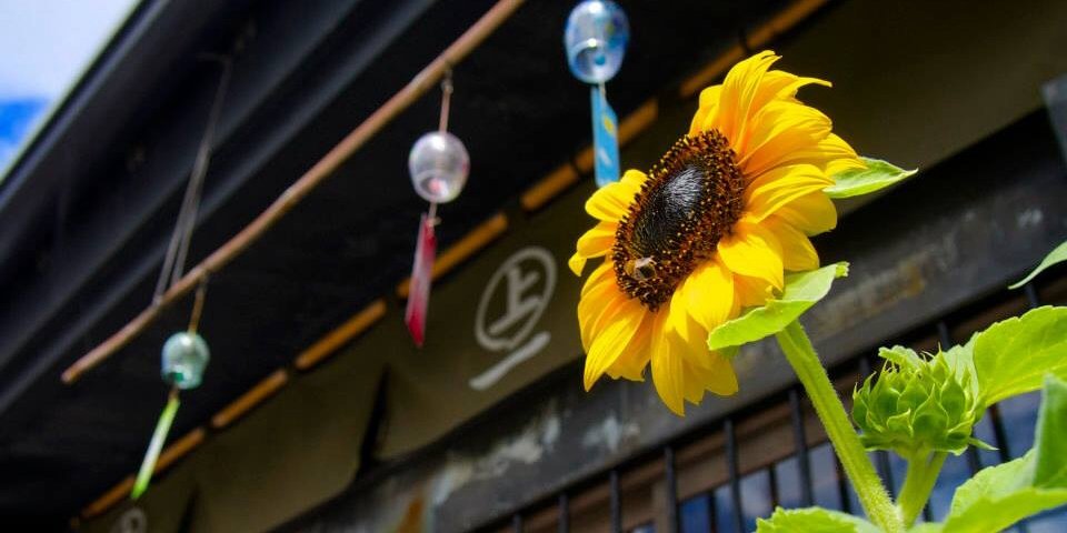 yk_dnc's profile banner image