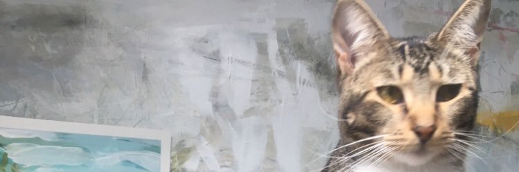KMFieldsDesigns's profile banner image