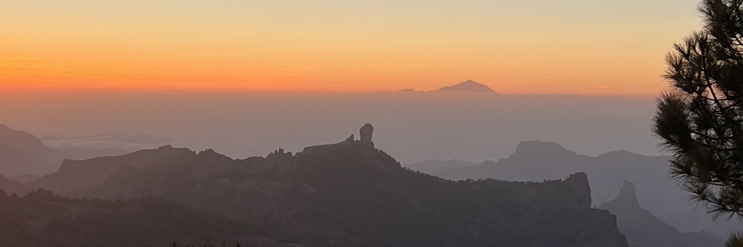 pauocaampo's profile banner image