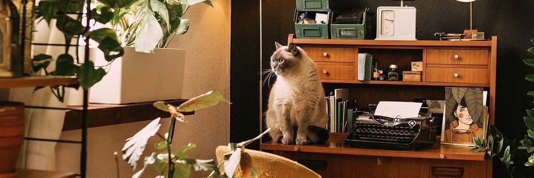 SofRudenko's profile banner image