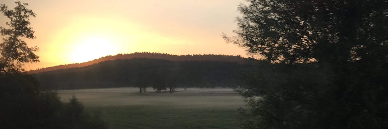 Ungureit's profile banner image