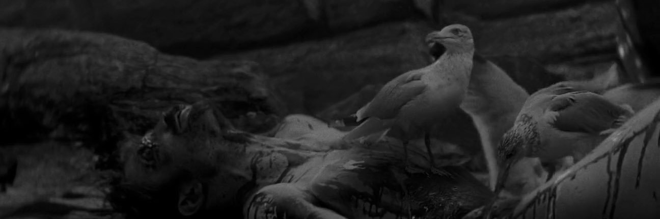 iakkhus's profile banner image