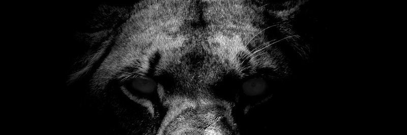 CentralPointYA's profile banner image