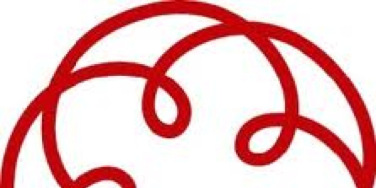 stefano baraldo banner