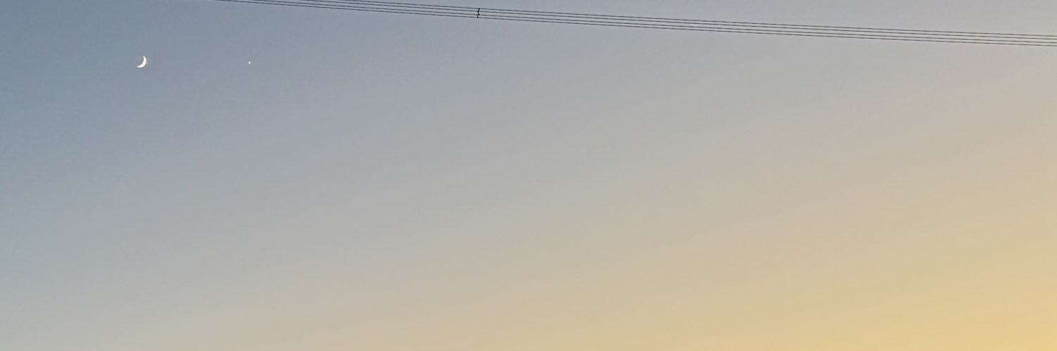 SCHWARZ banner