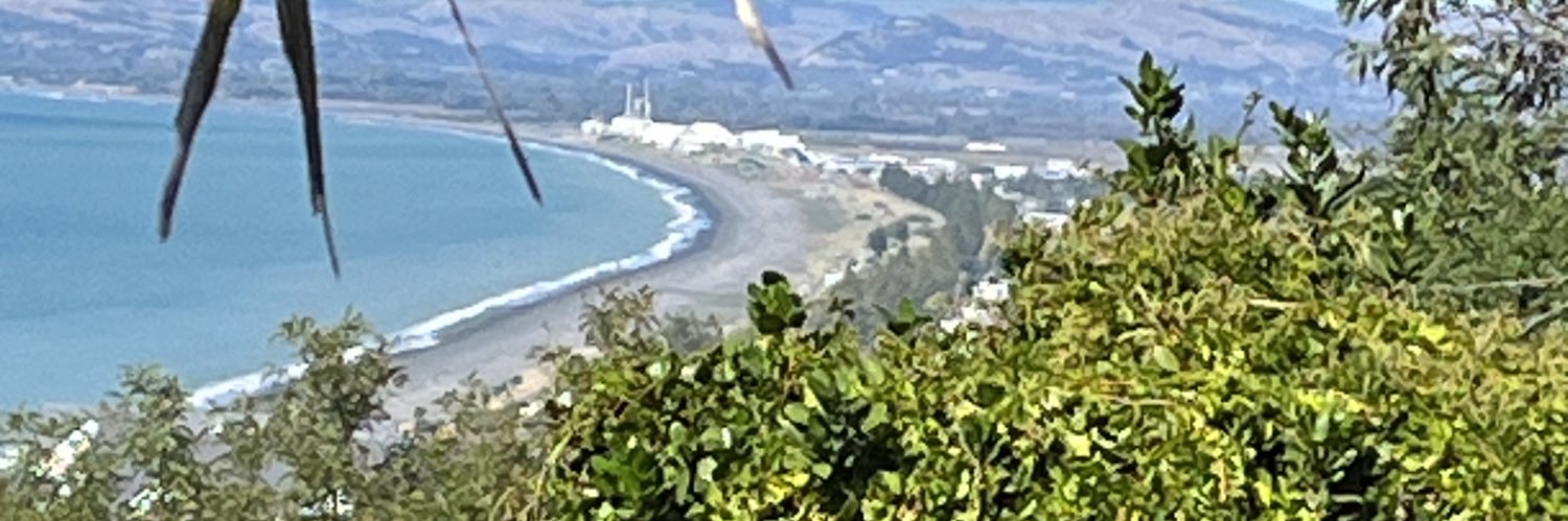 saucery's profile banner image