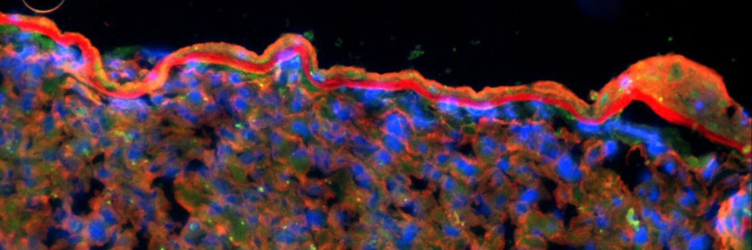 ColetteInTheLab's profile banner image