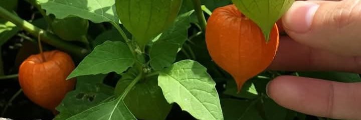 VPtv88's profile banner image