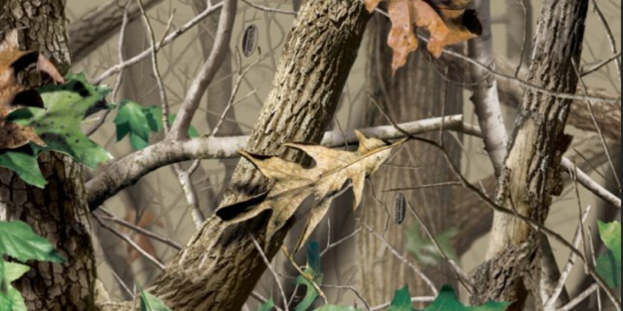 TheeOutdoorLife's profile banner image