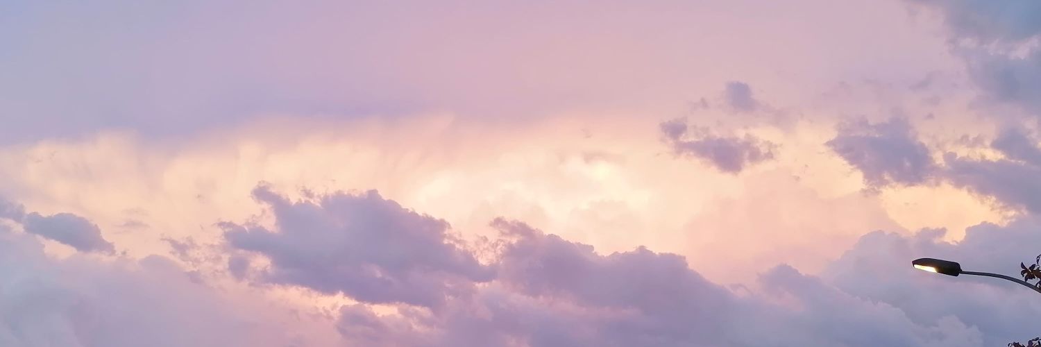 IgnisRozas's profile banner image