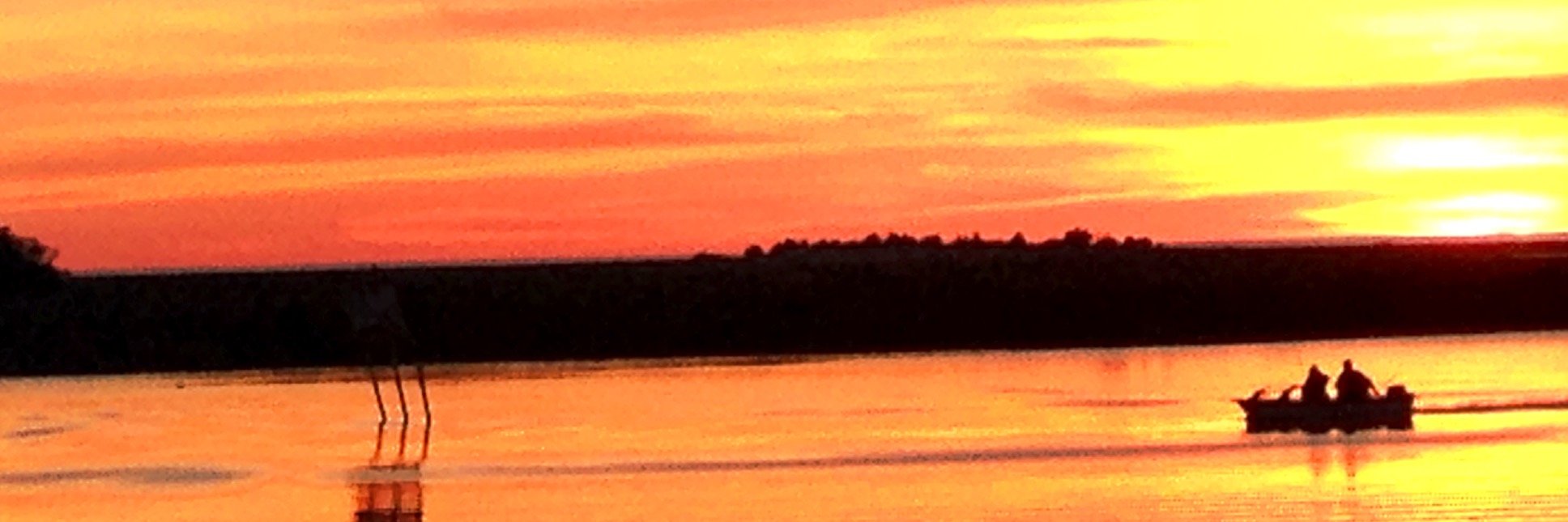 SGorges's profile banner image