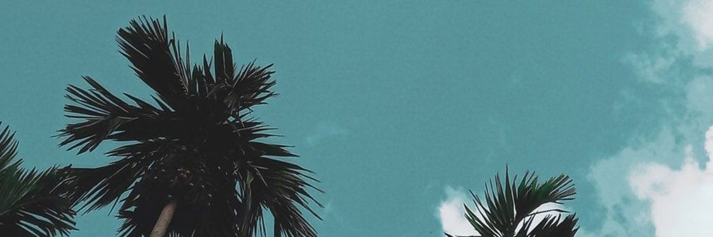 @Lunavia banner