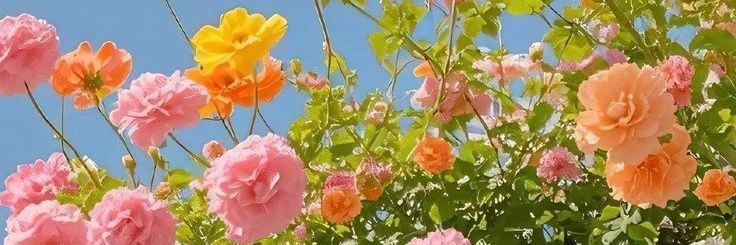 Flowers Life's banner