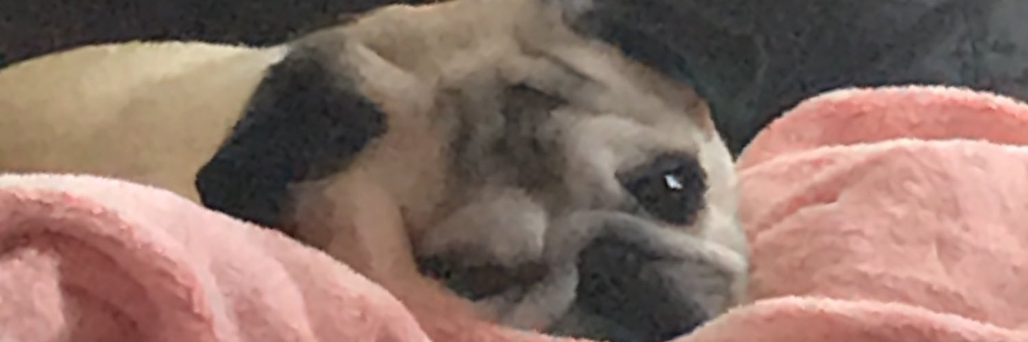 BryceADalton's profile banner image